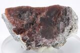 1.8" Rare, Red Villiaumite Crystal - Murmansk Oblast, Russia - #195316-1